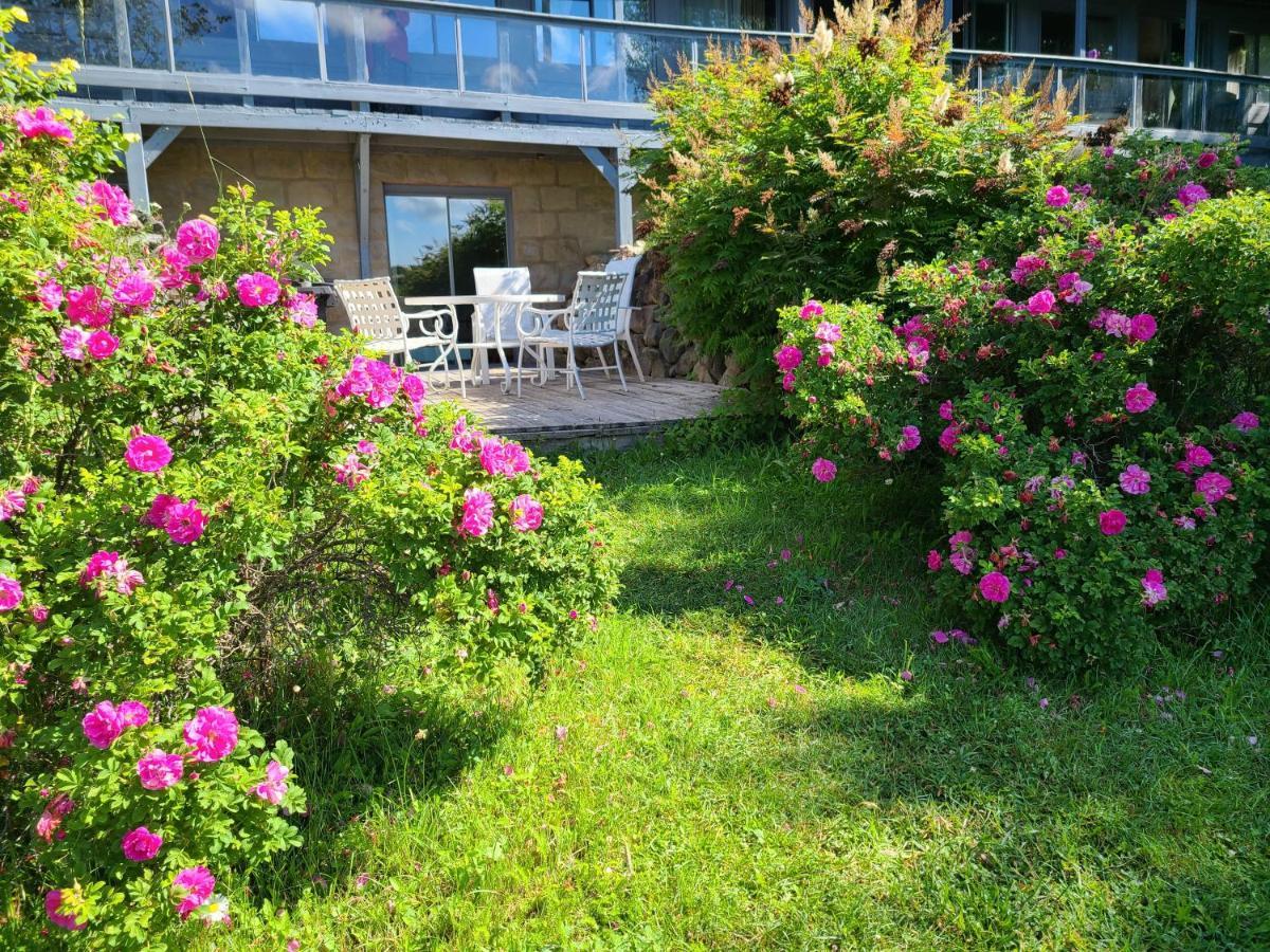 Le Lodge Du Lac Saint-Faustin 外观 照片